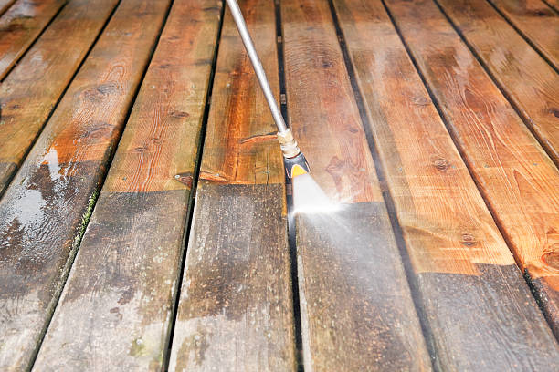 Best House Exterior Washing  in Gladwin, MI